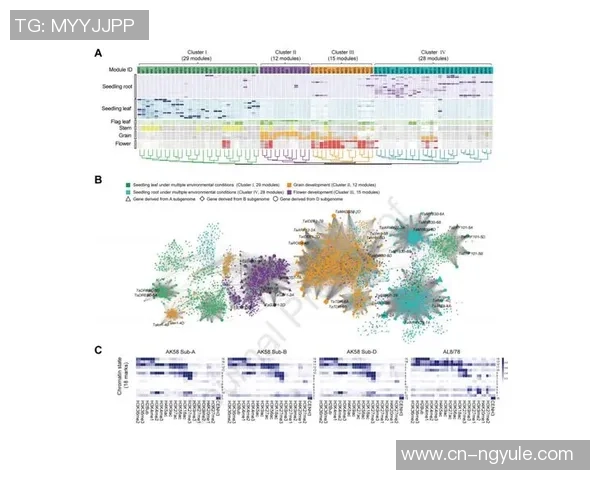 TES在职业联赛中的心理素质表现分析与评价